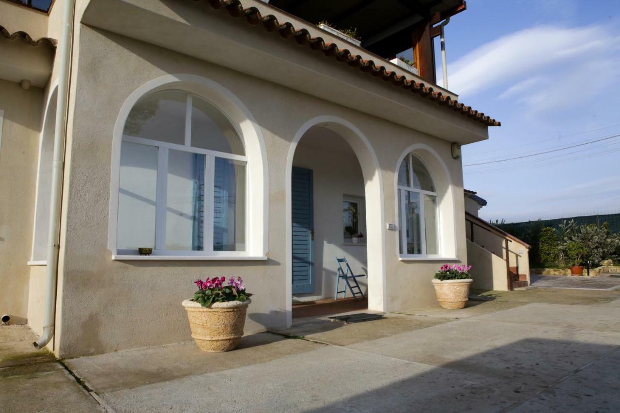 Avion B&B Elmas Εξωτερικό φωτογραφία